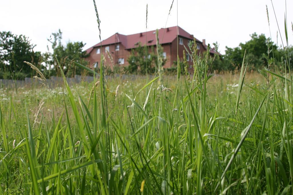 Motel U Olka Boczow Exteriör bild