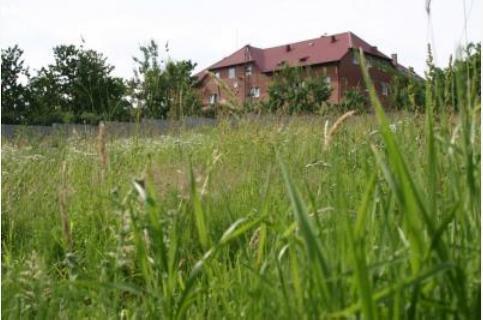 Motel U Olka Boczow Exteriör bild